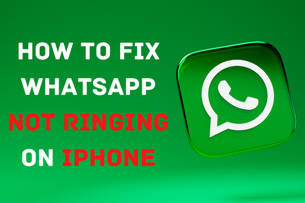 How to fix WhatsApp Not Ringing on iPhone