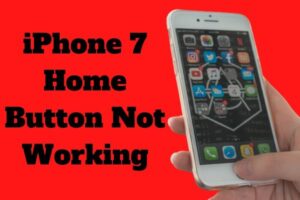 iphone 7 home button vibration not working