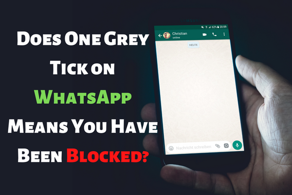 WhatsApp one gray tick mean