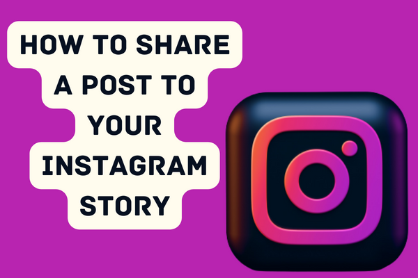 How to Share a Post to Your Instagram Story