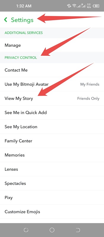 Under 'Privacy controls,'click View my story.