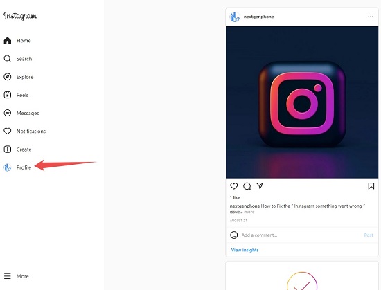 go to IG profile via your web browser