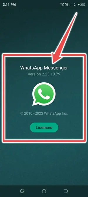 launch whatsapp app - whatsapp conference call