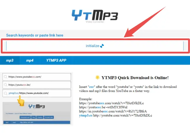 paste copied url and hit convert - ytmp3 review